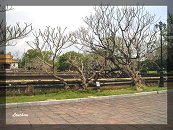 [Click to enlarge]